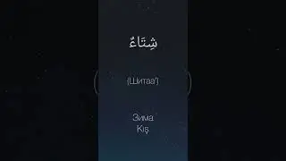 Арабский язык, сезоны года. Арабский алфавит. #арабский #арабскийязык