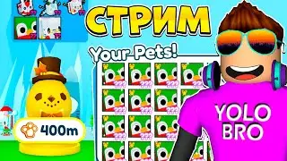 НЕ ЖДЕМ ОБНОВЛЕНИЕ В PET SIMULATOR X В РОБЛОКС! ROBLOX