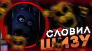 😨ЗАЧЕМ Я СЮДА ПОЛЕЗ | Меня ПЫТАЮТСЯ СЛОВИТЬ АНИМАТРОНИКИ | Five Night's at Freddy's😨