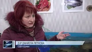 Цената на шарана скочи