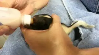 feeding little stinker boy