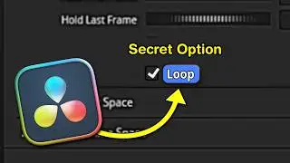 Unknown Video Loop Feature in Davinci Resolve