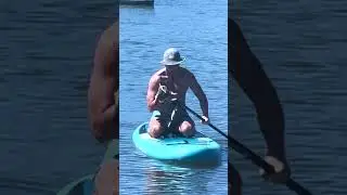 Drowning Wallaby Rescue On Paddle Board