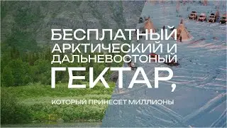 Прямой эфир по Дальневосточному и Арктическому гектарам. Как я получил участок и помогаю другим