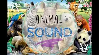 ANIMAL SOUNDS for the little ones educational videos for kids - how animals speak