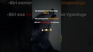 Bu dunyoda faqar ikki zotga ishon 