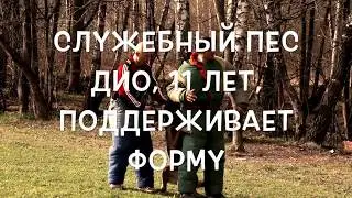 Малинуа Дио, 11 лет, элементы защитной службы с усложнениями