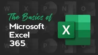 Free Course: Microsoft Excel 365 Basics | Knowledgecity.com