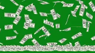 Dollar money falling green screen animation