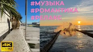 На море поездом и самолётом | Аудиопутешествие с умывающимся котом #романтика #музыкадлясекса 4K