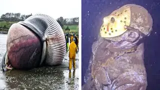 What They Found In The Ocean Shocked The World