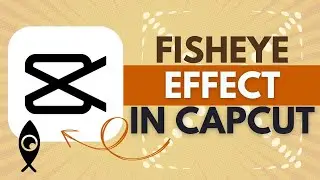 How to Add a Fish Eye Effect in CapCut - CapCut Tutorial