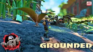 GROUNDED  Ep12 Back Yard Survival Under Water Chest!! Wolf Spider got the jump on me!