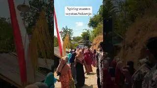 NGIRING MANTEN JAWA#shorts#shortvideos #shortsvideoviral #ngiringmanten#kampung#desa