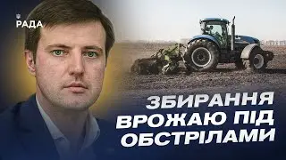 Жнива в Україні: збирання врожаю під обстрілами! | Тарас Висоцький