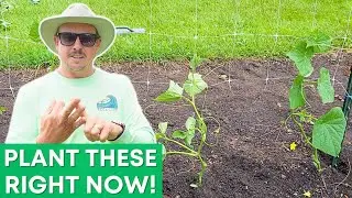 8 Veggies To Grow Again for Fall!