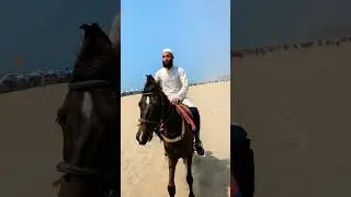 Horse Riding with Fatih Sultan Mehmet Khan Sound #fatih #horse #horseriding #horselover