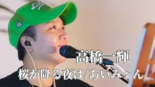 〖高橋一輝〗桜が降る夜は/あいみょん 2024.09.18 TiktokLIVE