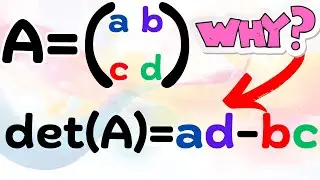 the why of the determinant