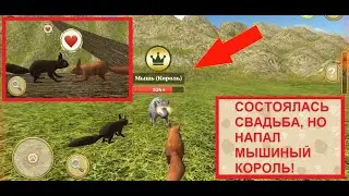 КАК ПОБЕДИТЬ МЫШИНОГО КОРОЛЯ? СИМУЛЯТОР БЕЛКИ 2. СЕРИЯ 3 # Весёлая игромания.