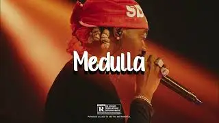 Afrobeat x Instrumental "MEDULLA" Young john x Asake x Seyi Vibez x Omah Lay x Typebeat|2024