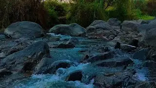 With noise | asmr sounds for sleeping, relaxing music for stress relief, asmr water sounds relaxing