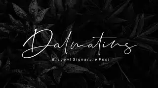 Dalmatins    Elegant Signature Font Font Free Download