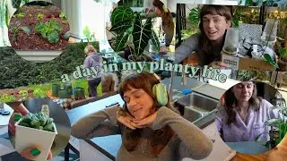 🌿 a day in my planty life 🌿 amazing new plants, my garden, & pyjama party plant chores!