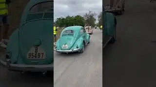 Los VW Escarabajos se van de ruta  