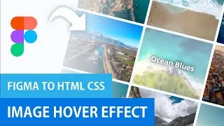 Image Gallery Blur Hover Effect | Figma Prototype to HTML CSS