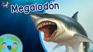 El Megalodon para Niños -  Curiosidades de Megalodón (Video Educativo para Niños)