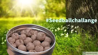#seedballchallenge #gardenlife #nature #gardenlover #allotmentgarden