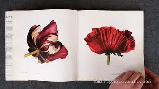 STILL LIFE - IRVING PENN PHOTOGRAPHY BOOK