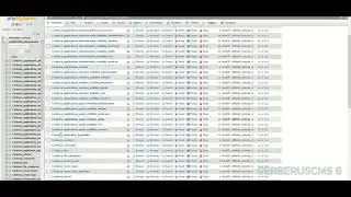 [2025-05-20] CerberusCMS - 6 - SVD - Application - Network Filtering - Video Part - 02