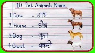 10 Pet Animals Name | 10 Pet Animals Name in English and Hindi | पालतू जानवरों के नाम | Pet Animals