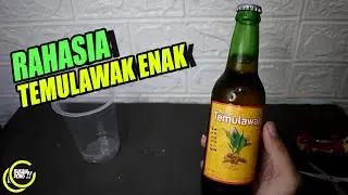 temulawak kunyit jahe dan kencur dalam botol