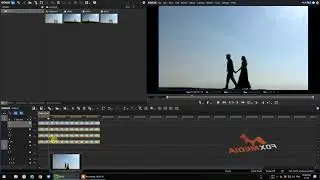 ONE SCREEN DUPLICATE PICTURE EDIUS FREEZE FRAME  TUTORIAL