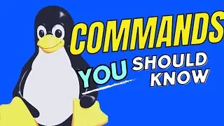 Essential Linux Commands for Absolute Beginners in 2023