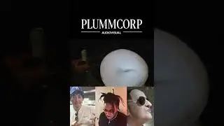 lil Bro Has Gone Crazy (Plummcorp)