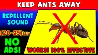 ANTI ANTS REPELLENT SOUND ⛔🐜 KEEP ANTS AWAY - ULTRASONIC SOUND