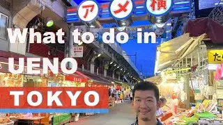 A Must See Area in Tokyo for Sight Seeing ♢ What's in Ueno, Tokyo