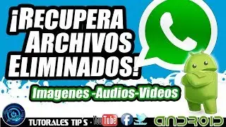 Como recuperar Imágenes borradas de WhatsApp