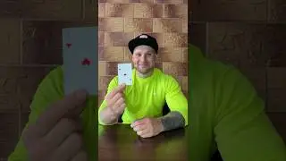 Альбертович - ТОП 5 КУРЬЁЗНЫХ ВИДЕО 😂 
