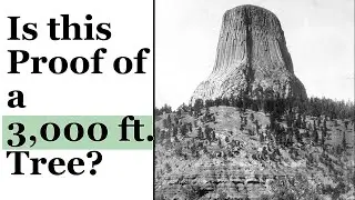 Were Giant Trees Once 3,000 ft. tall and is Devil's Tower a Gigantic Stump?