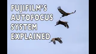 The Fujifilm X-Series Autofocus System Explained