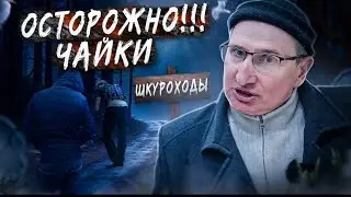 ОСТОРОЖНО -СОЛЬ, ЧАЙКИ, МЕТАДОН. ОСТОРОЖНО ОПАСНАЯ ПРОФЕСИЯ  ЧАЙКА ШКУРАХОД . #осторожно #соль