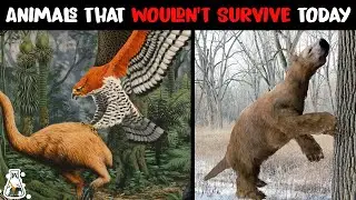 10 Extinct Animals That Couldnt Survive Today