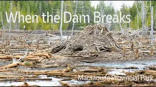 When the Dam Breaks - Mactaquac Provincial Park