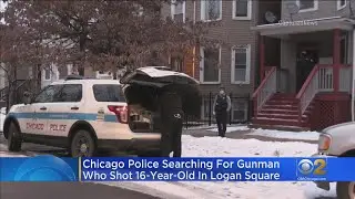 Boy, 16, Shot In Logan Square