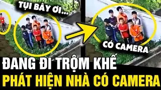 Đi ăn trộm khế thì phát hiện 'CÓ CAMERA', cả đám liền có hành động 'QUAY XE' | Tin Nhanh 3 Phút